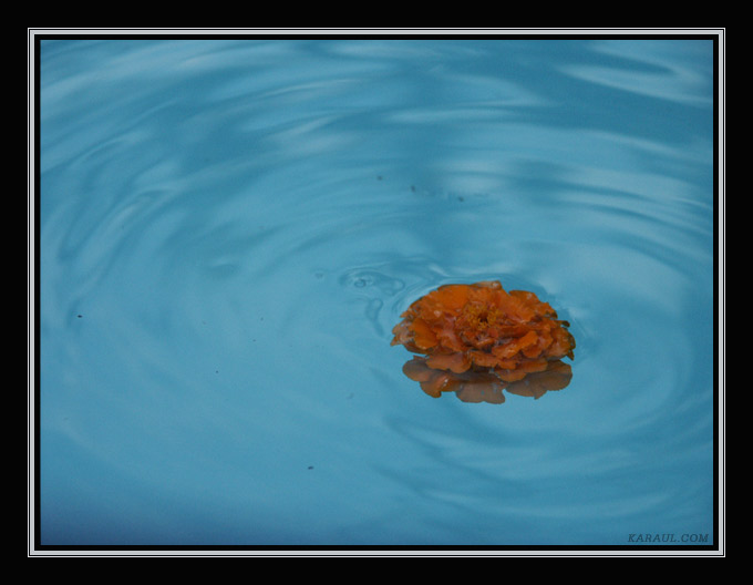 Ripples