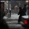 ny2004_musornuyVeter.jpg