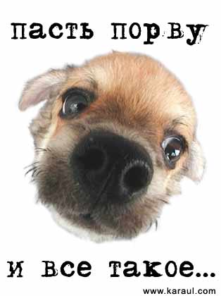 Всех порешу.